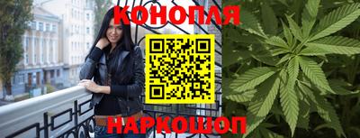 Альфа ПВП Кингисепп