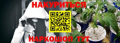 Альфа ПВП Кингисепп