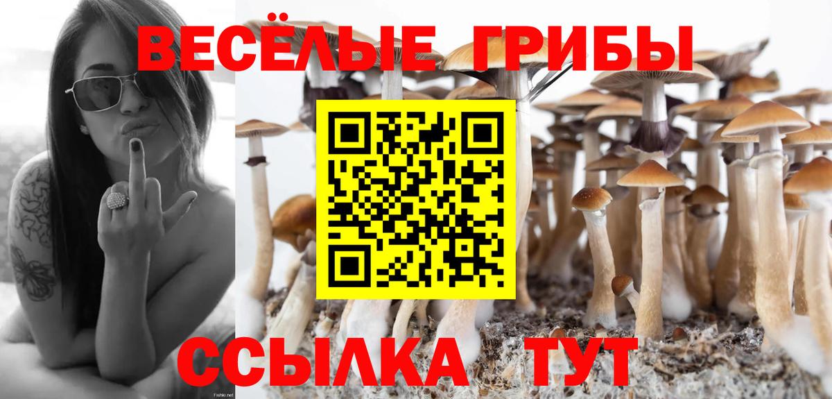 Псилоцибиновые грибы Cubensis  хочу   Вход с VPN  Коркино  Галлюциногенные грибы Psilocybe 